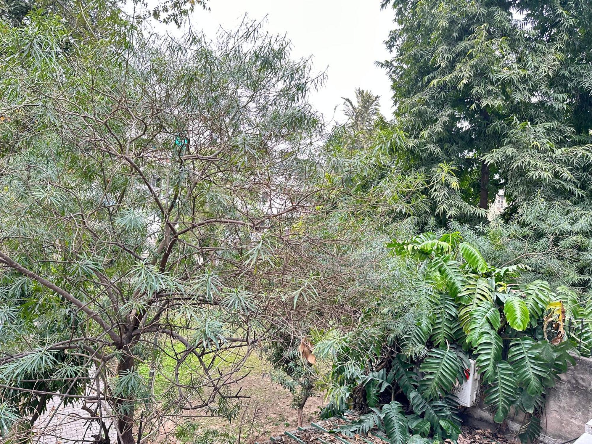 Hotel Grove Residency Hauz Khas New Delhi Couple Friendly Esterno foto